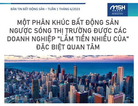  Bánh Tráng Dẻo Lụa Quảng Nguyên: Sự Kết Hợp Hoàn Hảo Của Hương Vị Ngon Ngọt Và Thơm Giòn